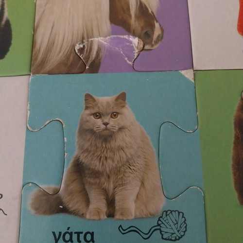 Animal Floor Puzzle used by Susaeta with Book