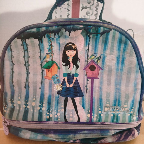 Lunch bag used, good condition