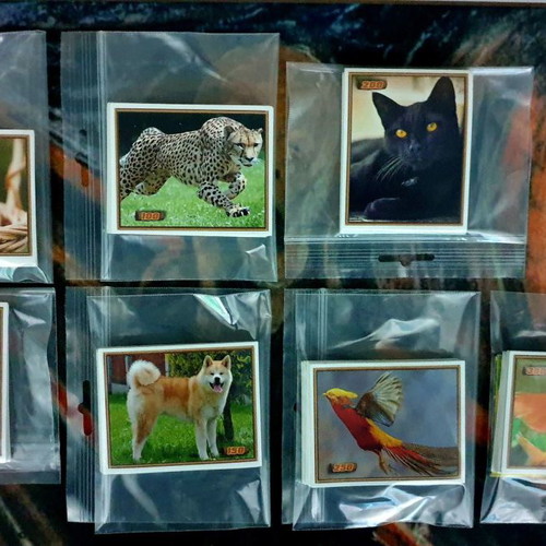 Carouzel The Jungle Sequel 3 sticker album new