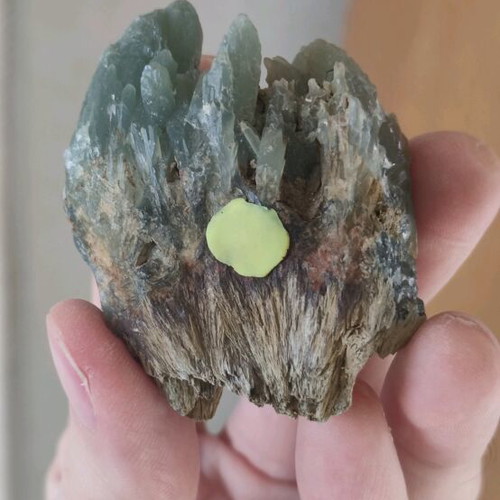 Prasios new, unique rich specimen for collection