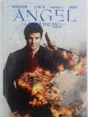 Angel: After the Fall, Vol. 4