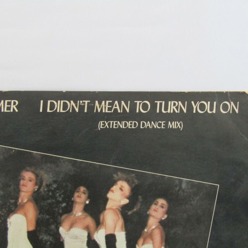 Robert Palmer I Didn't Mean To Turn You On LP used, extended dance mix