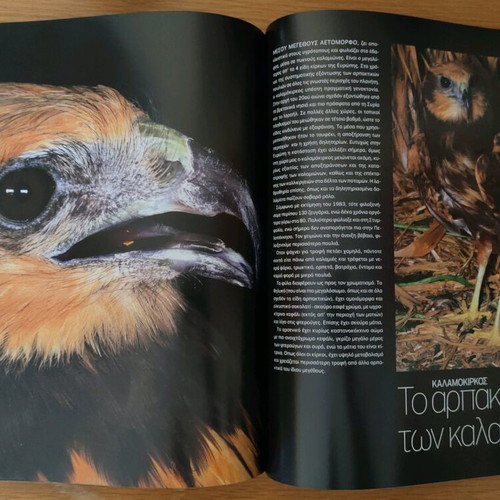 Nature Explore Υπέροχη Ελλάδα albums like new, complete set of 12 issues