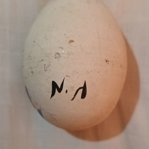 Easter decorative egg like new, stone with rooster design