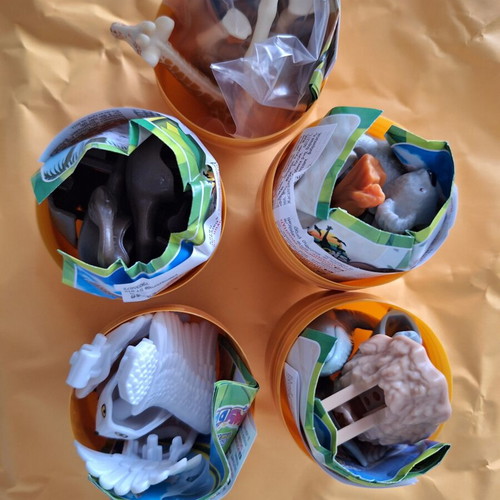 Kinder Surprise Maxi Natoons 2023 full set new