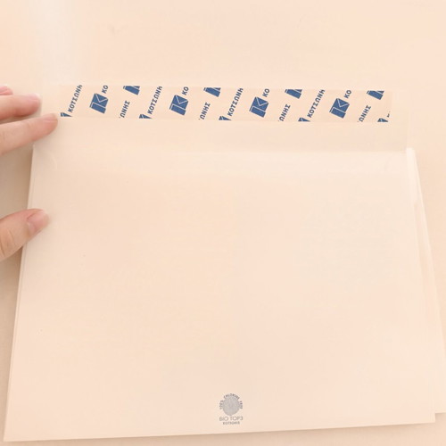 Envelopes 23x16.5cm pack of 10 like new