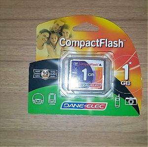 Dane Elec DA-CF-1024R 1GB Compact Flash Card