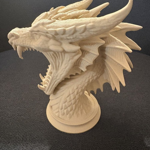 Dragon Bust 3D Printed fantasy decor new