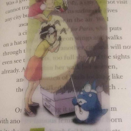 Totoro bookmarks like new with transparency
