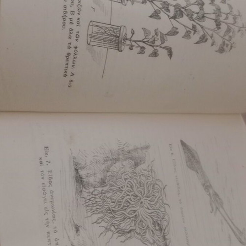 Stoicheia Genikis Viologias textbook used, 1940 OESV edition