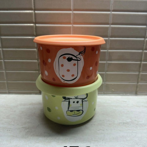 Tupperware Canister New