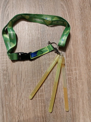 Eurovision 2006 Athens Keychain neck strap new