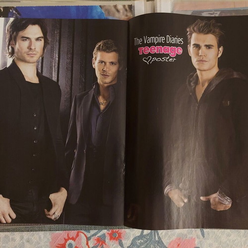 Ed Sheeran & The Vampire Diaries poster like new