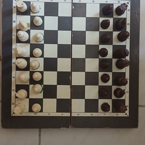 Chessboard with pieces and backgammon