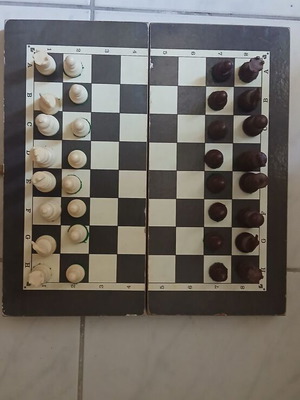 Chessboard with pieces and backgammon