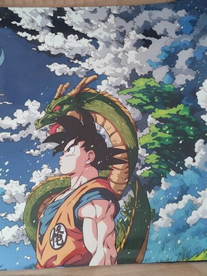 Dragon Ball Poster Goku & Shenron with Glossy Lamination new