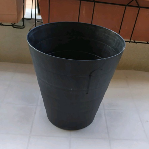Plastic flowerpot used, black color, height 31 cm