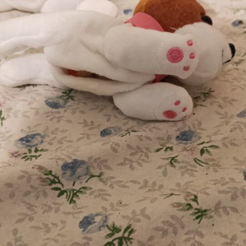 Mummy Surprise Shabam plush dog set like new