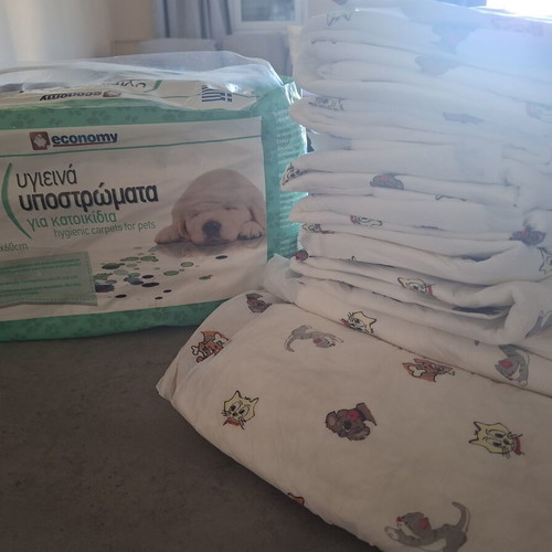 Economy hygienic carpets for pets 60x60 cm