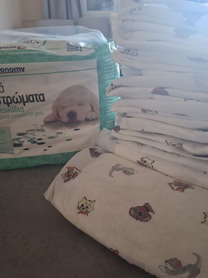 Economy hygienic carpets for pets 60x60 cm