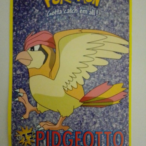 Pokemon Pidgeotto and Taz cards used, pack of 2