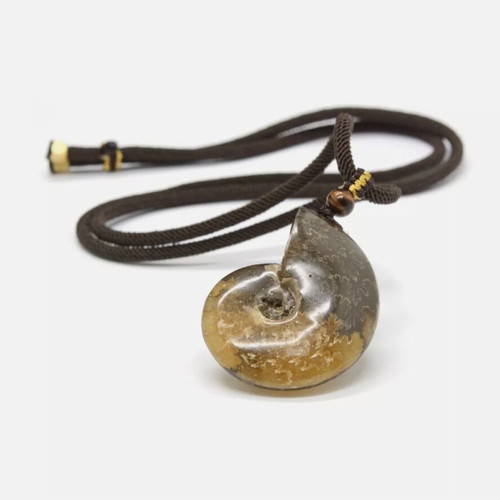Ammonite Pendant new, iridescent with adjustable strap