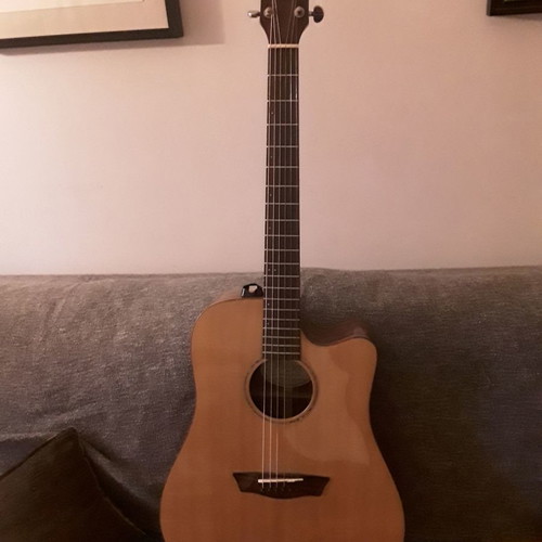 Washburn Electroacoustic Full Solid Guitar with Fisman Preamp and Microphone