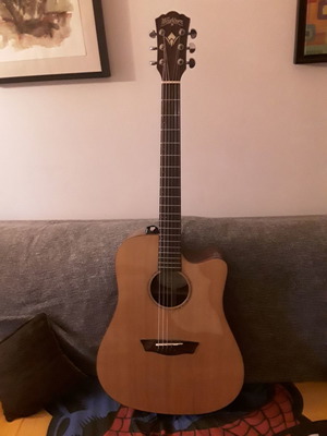 Washburn Electroacoustic Full Solid Guitar with Fisman Preamp and Microphone