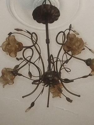 Ceiling light used, functional