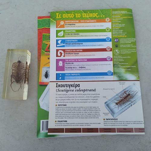 Scutigera insect from National Geographic series with book like new