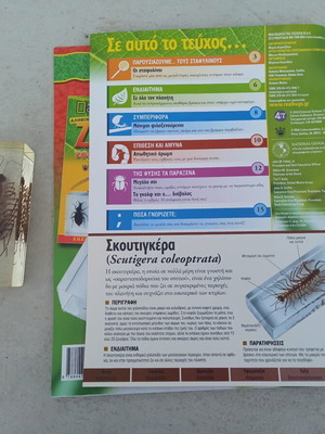 Scutigera insect from National Geographic series with book like new