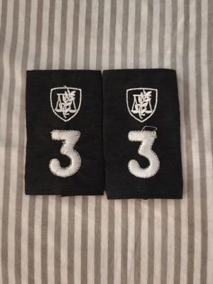 Military academy insignia used, 3rd year