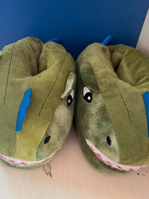 Dinosaur slippers like new, green, size 33