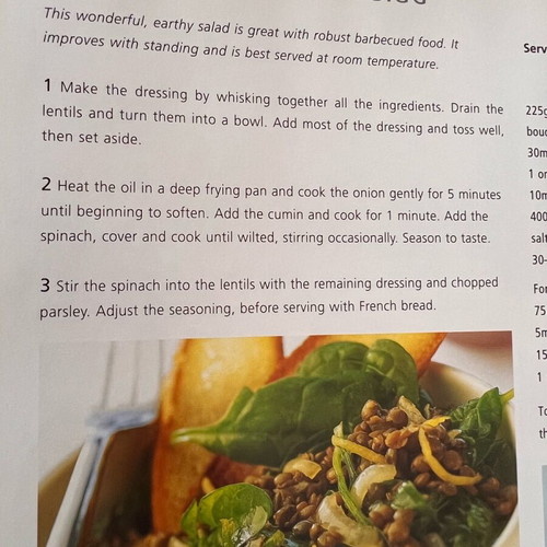 Olive Oil The Essence of the Mediterranean used English book