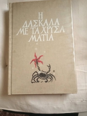 Η δασκάλα με τα χρυσά μάτια βιβλίο σαν καινούργιο