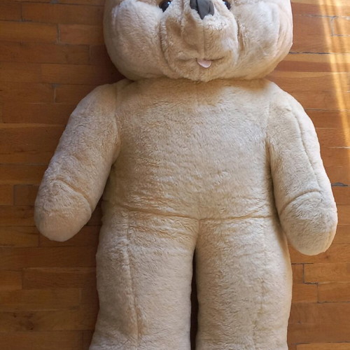 Large teddy bear new