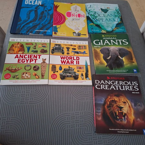 English children's books new, pack of 14