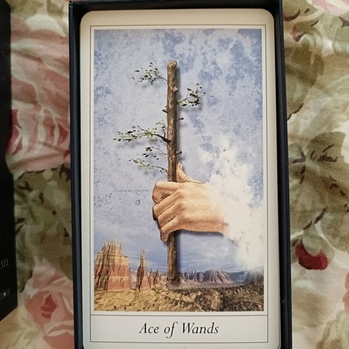 The Lovers' Tarot Deck by Jane Lyle, complete with book, 2005