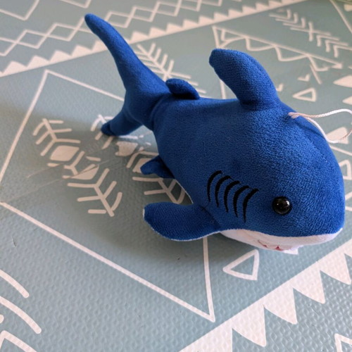 Shark new toy