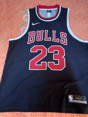 Ανδρική μπασκετική φανέλα Nike Michael Jordan μεταχειρισμένη, μέγεθος L