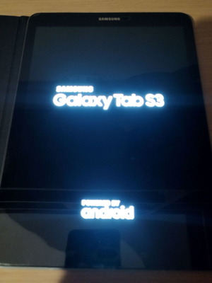 Samsung Galaxy Tab S3 tablet used with original case