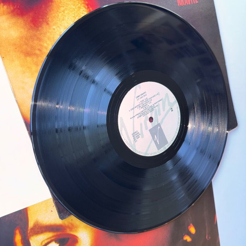 Lenny Kravitz Let Love Rule LP used, rock genre