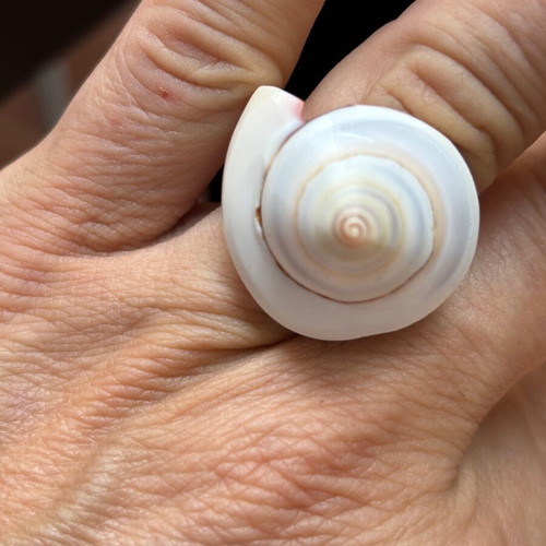 Shell women's ring like new