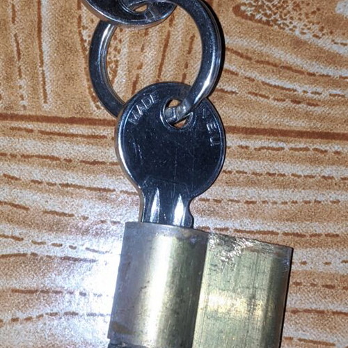 Brass Euro Profile Lock Cylinder used with 2 keys