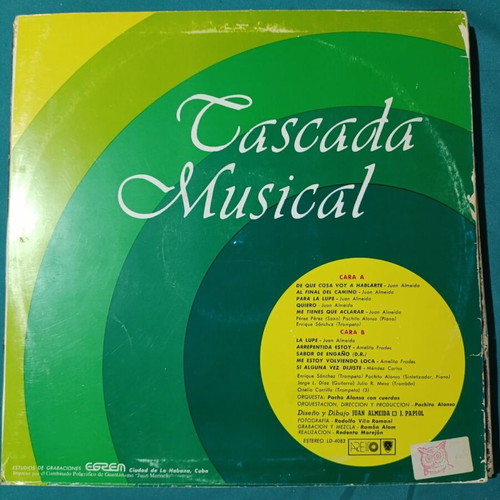 Tascada Musical instrumental vinyl record