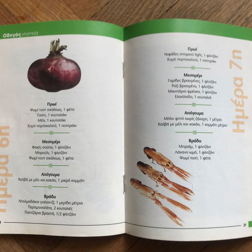 Plus Forma magazine Nisteia like new, practical guide for diet and detox