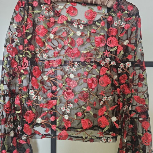 Shein see-through red roses long sleeve top size S like new