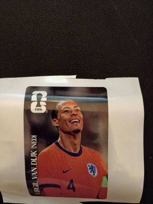 Van Dijk Panini 2026 World Cup Coca Cola sticker new