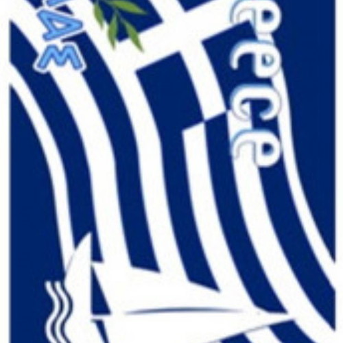 Beach towel Greece flag with olive leaf new