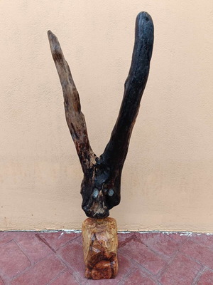 Decorative wooden animal from eucalyptus wood new